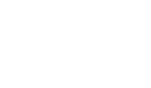 St Albans Caroline Springs Netball Logo
